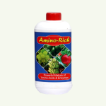 AMINORICH