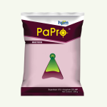 PUMPUHAR-WP