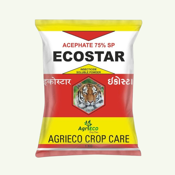 Frame 311 (29) ECOSA - TH - Image 1